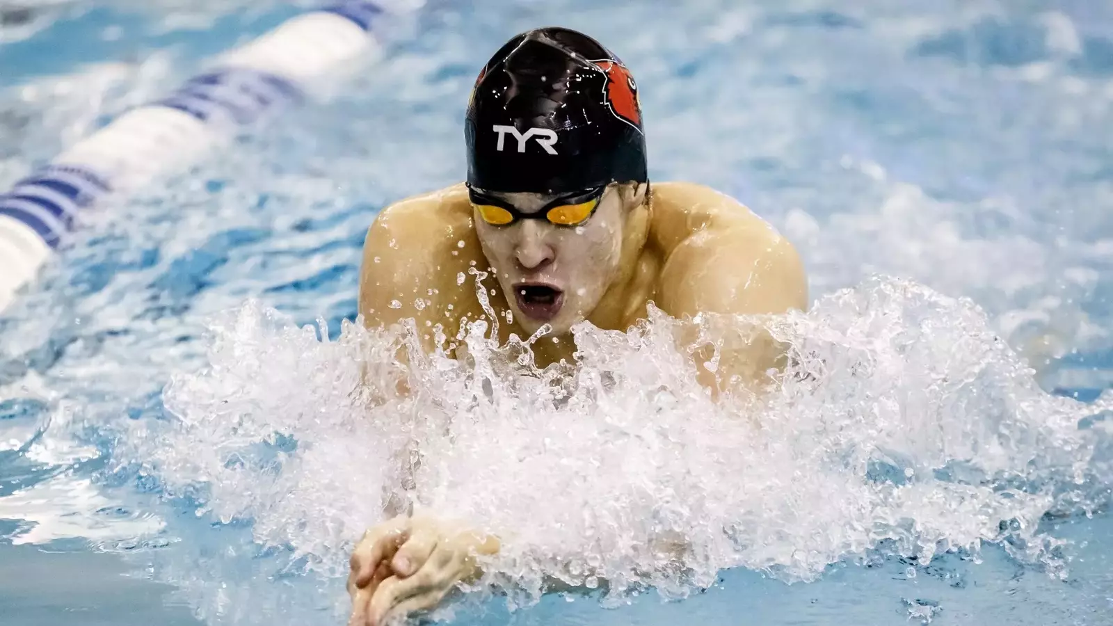 No 18 7 Swimming And Diving Sweep Missouri University Of Louisville