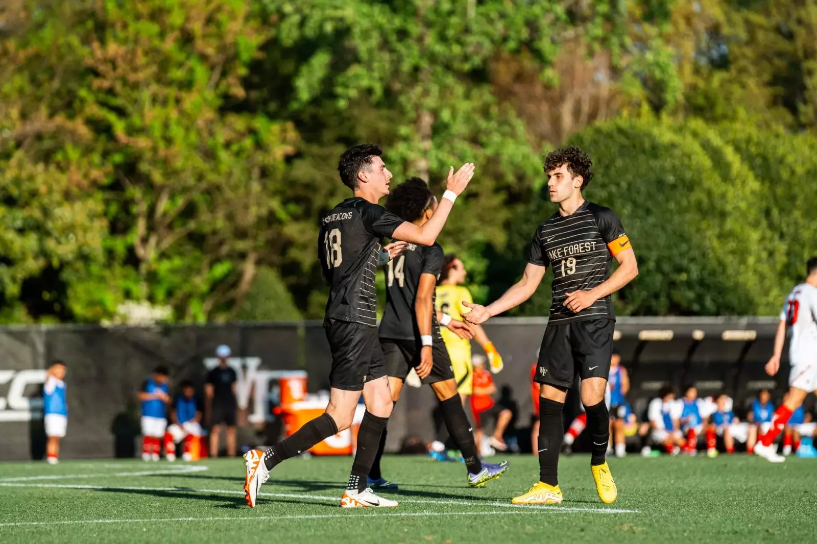 Wake Forest University