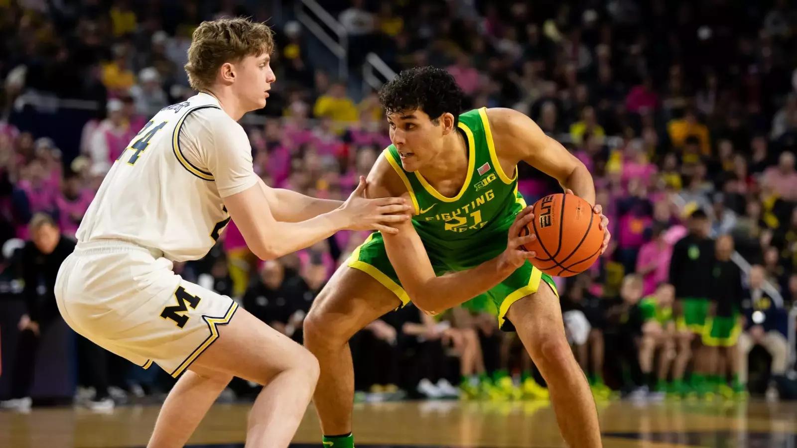 resize?url=https%3A%2F%2Fgoducks.com%2Fi