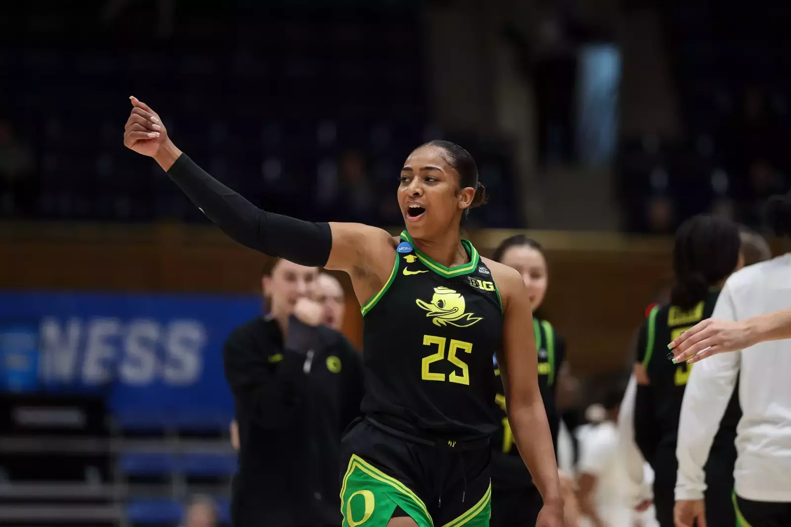 resize?url=https%3A%2F%2Fgoducks.com%2Fi