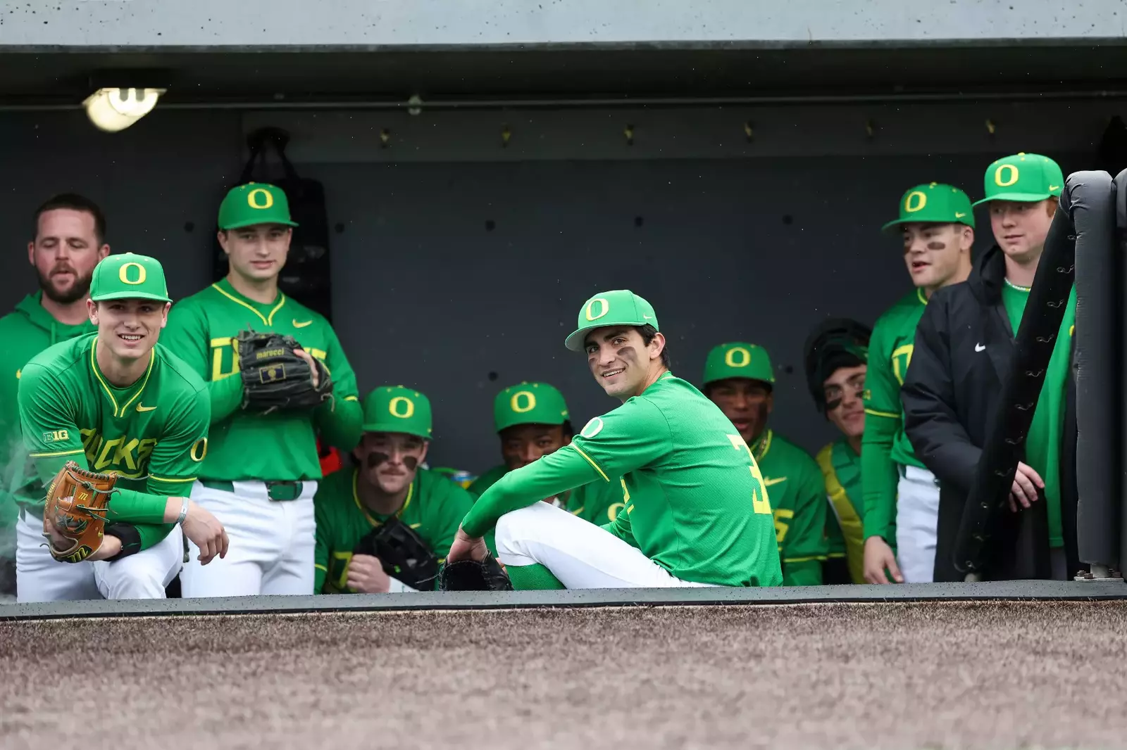 resize?url=https%3A%2F%2Fgoducks.com%2Fi