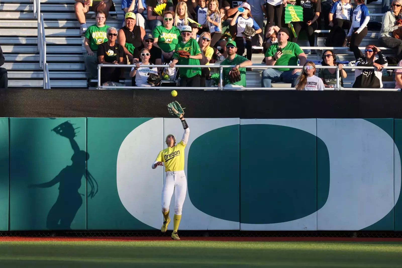 resize?url=https%3A%2F%2Fgoducks.com%2Fi