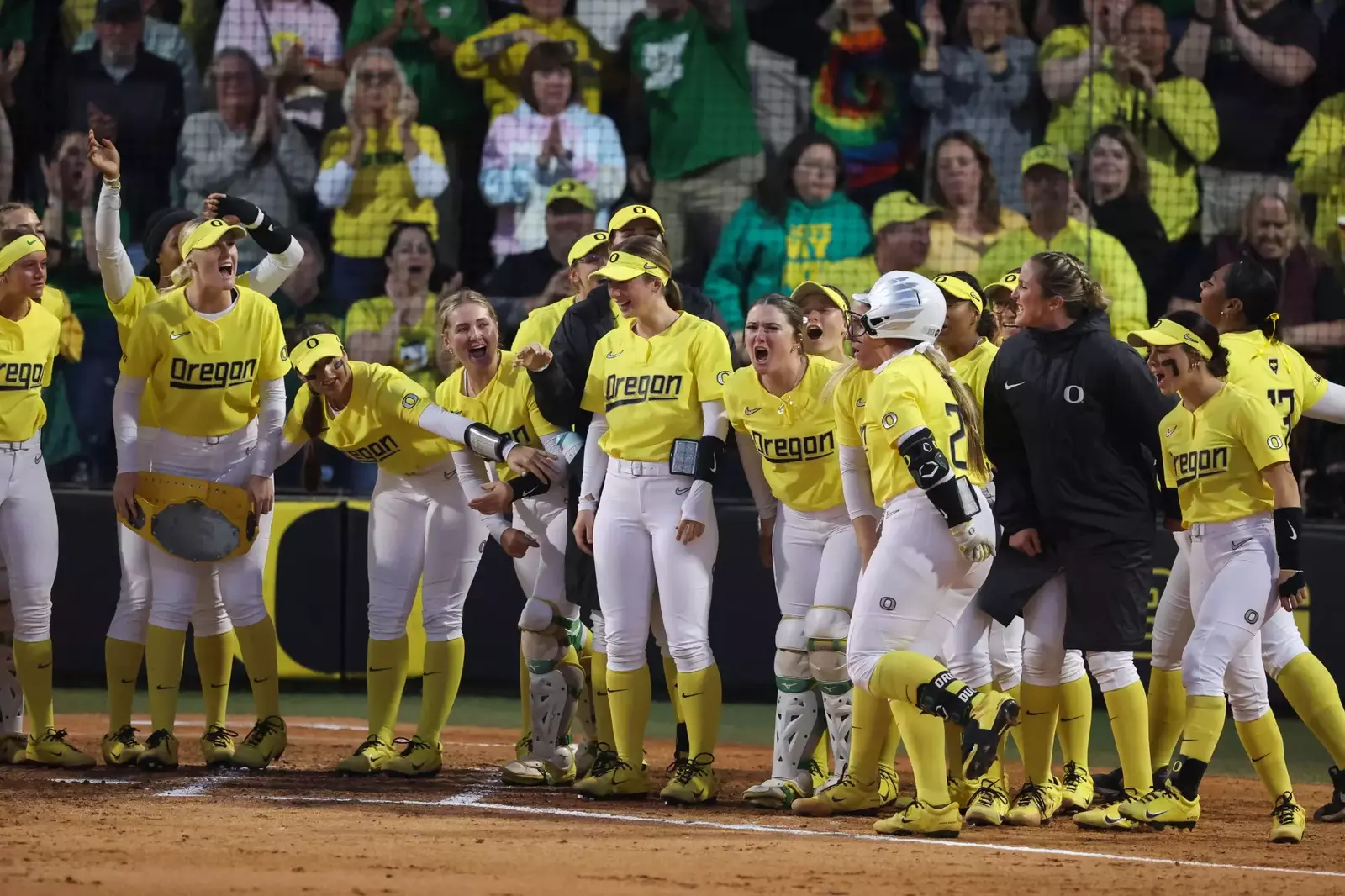 resize?url=https%3A%2F%2Fgoducks.com%2Fi