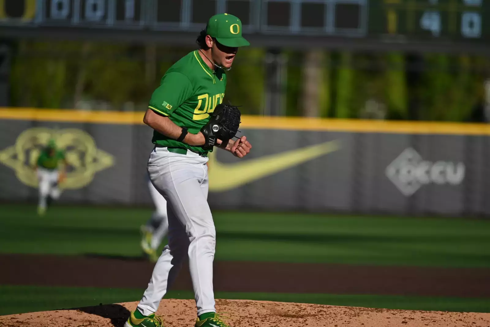 resize?url=https%3A%2F%2Fgoducks.com%2Fi