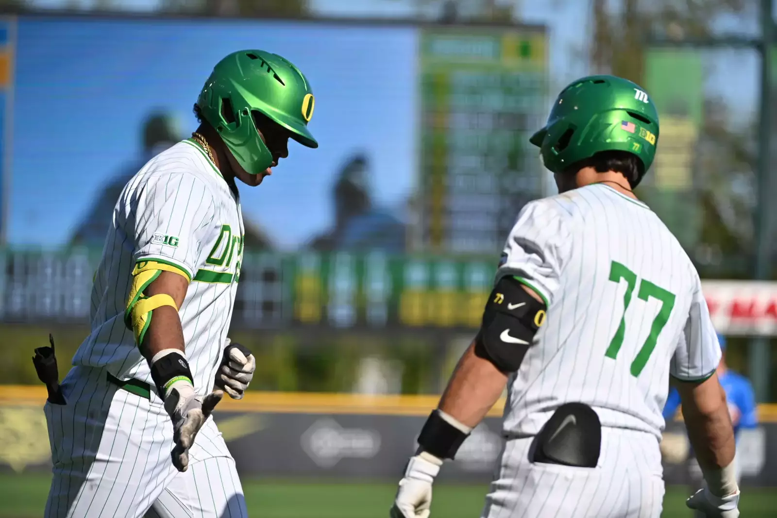 resize?url=https%3A%2F%2Fgoducks.com%2Fi