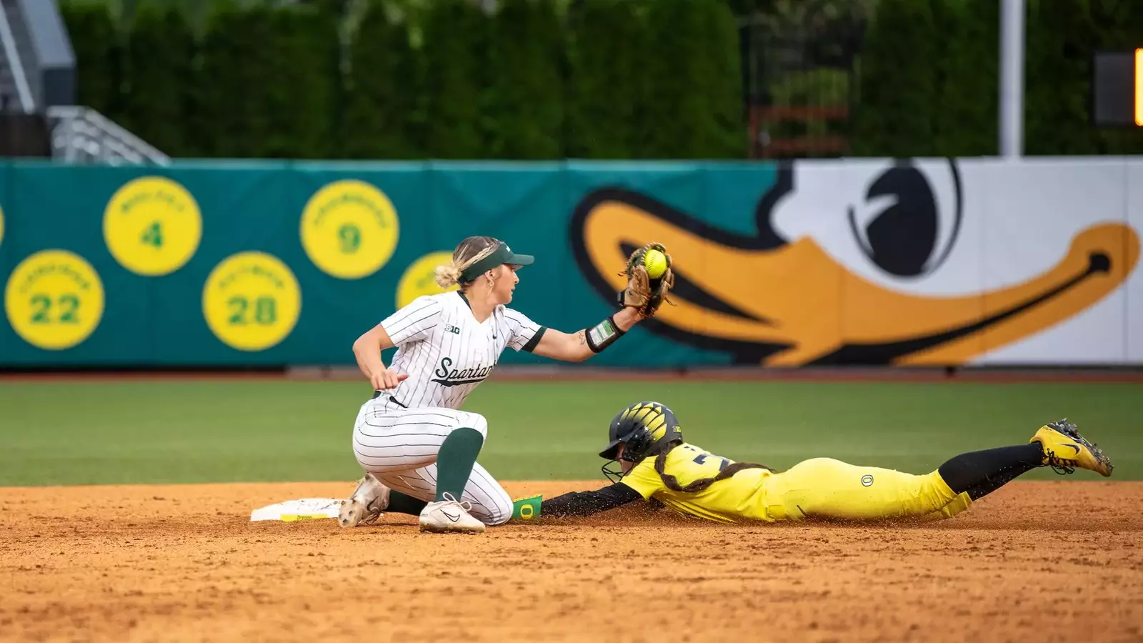 resize?url=https%3A%2F%2Fgoducks.com%2Fi