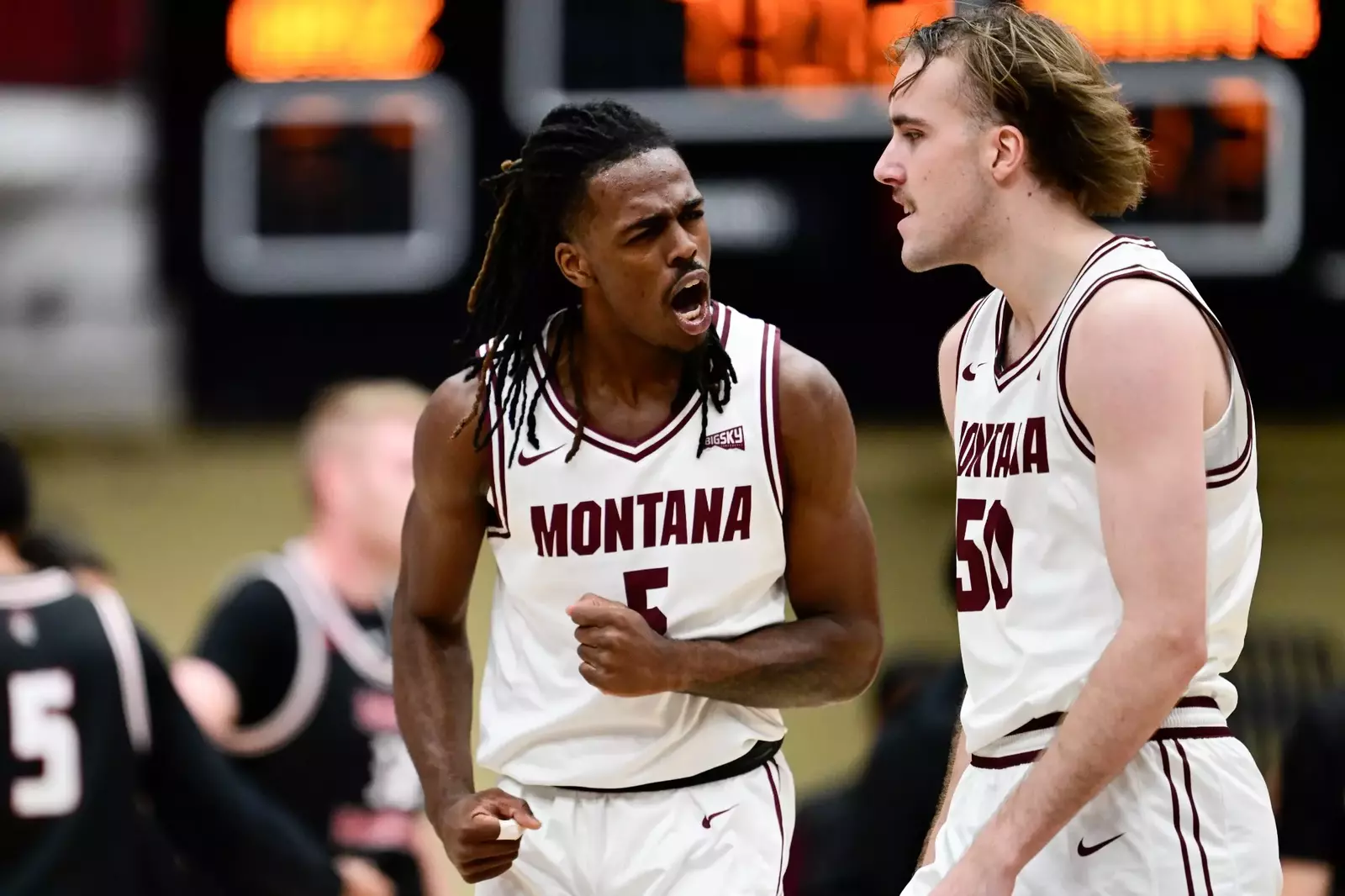 gogriz.com