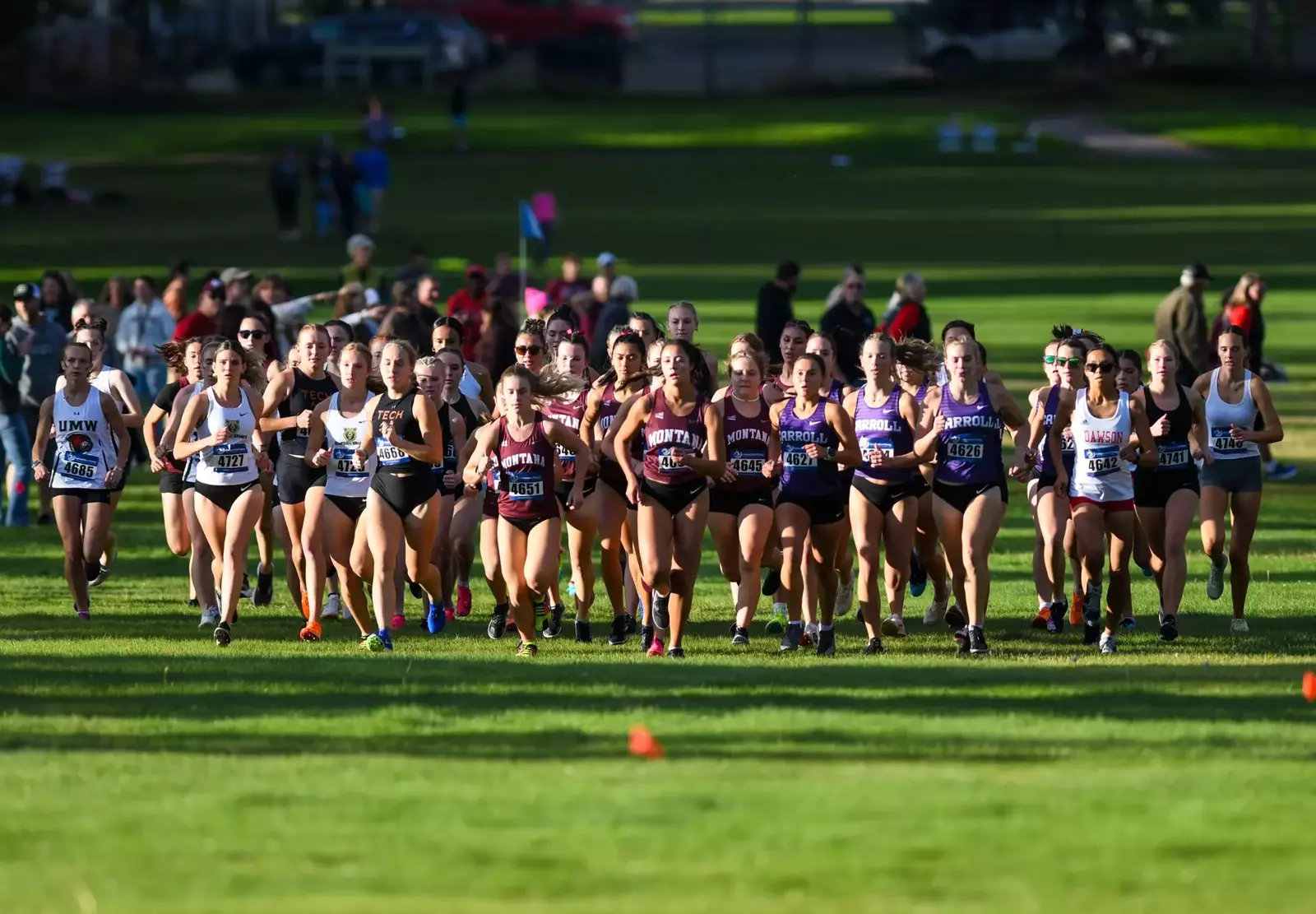 University of Montana Athletics