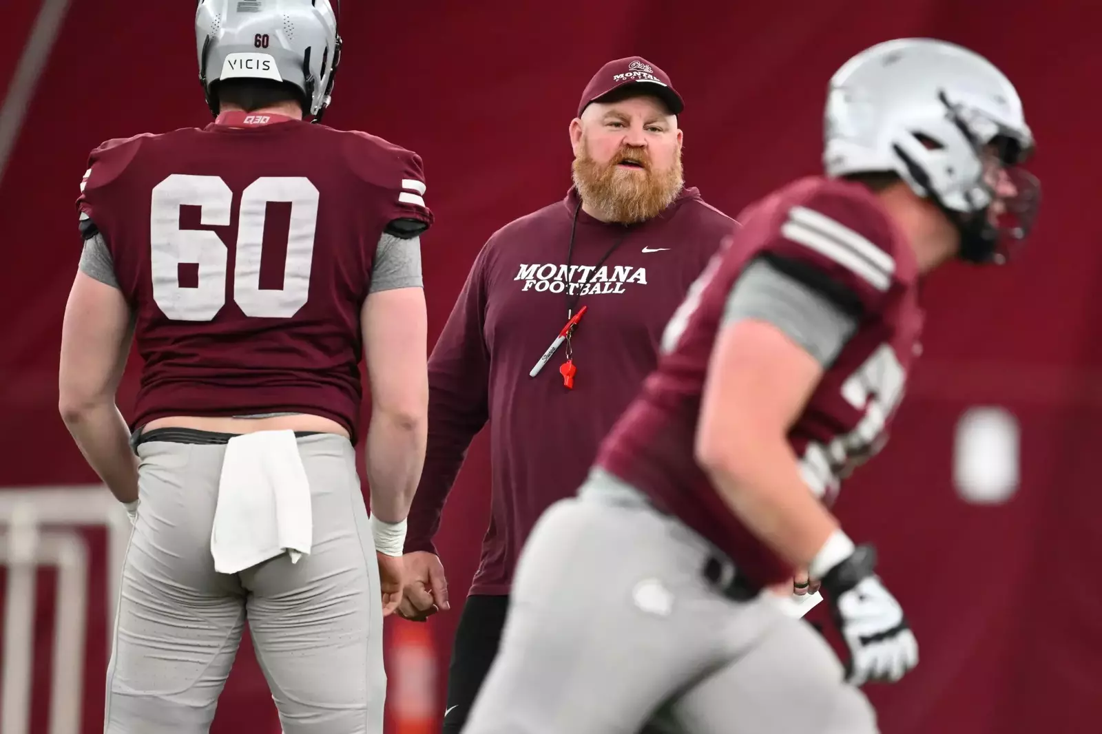 gogriz.com