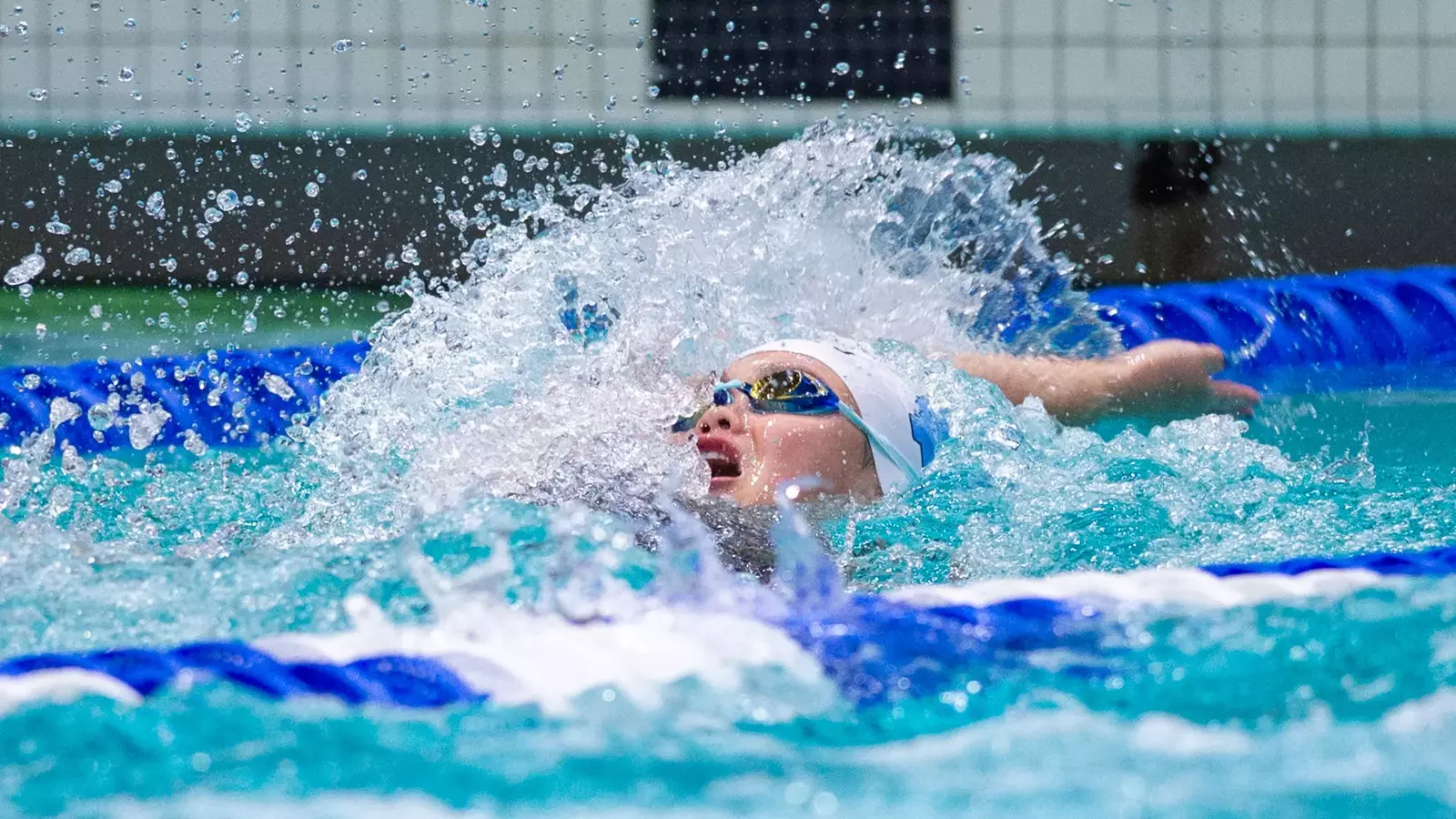 UNC Swimming & Diving Named CSCAA Scholar All-America Team