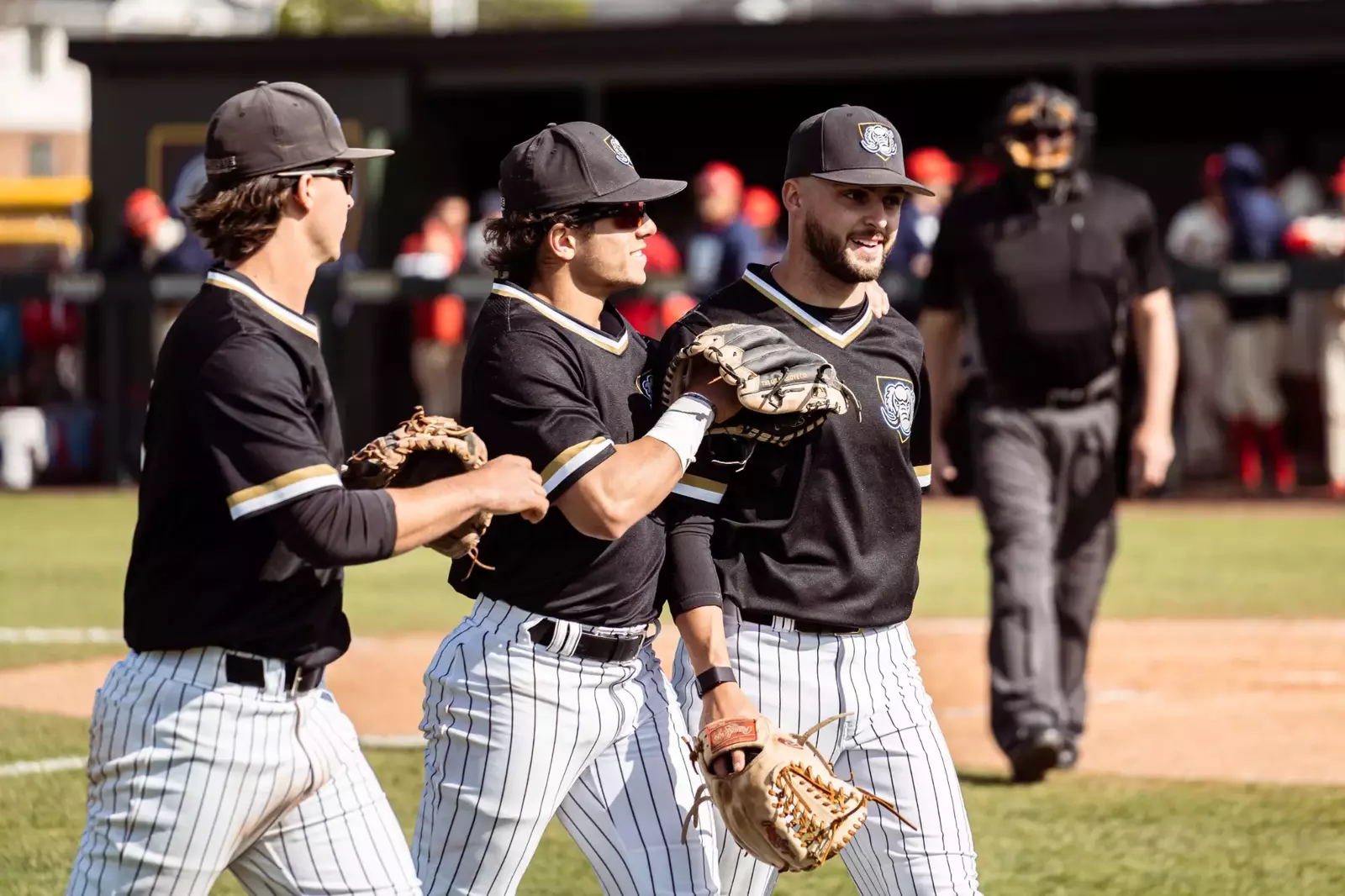 Purdue University Fort Wayne Athletics