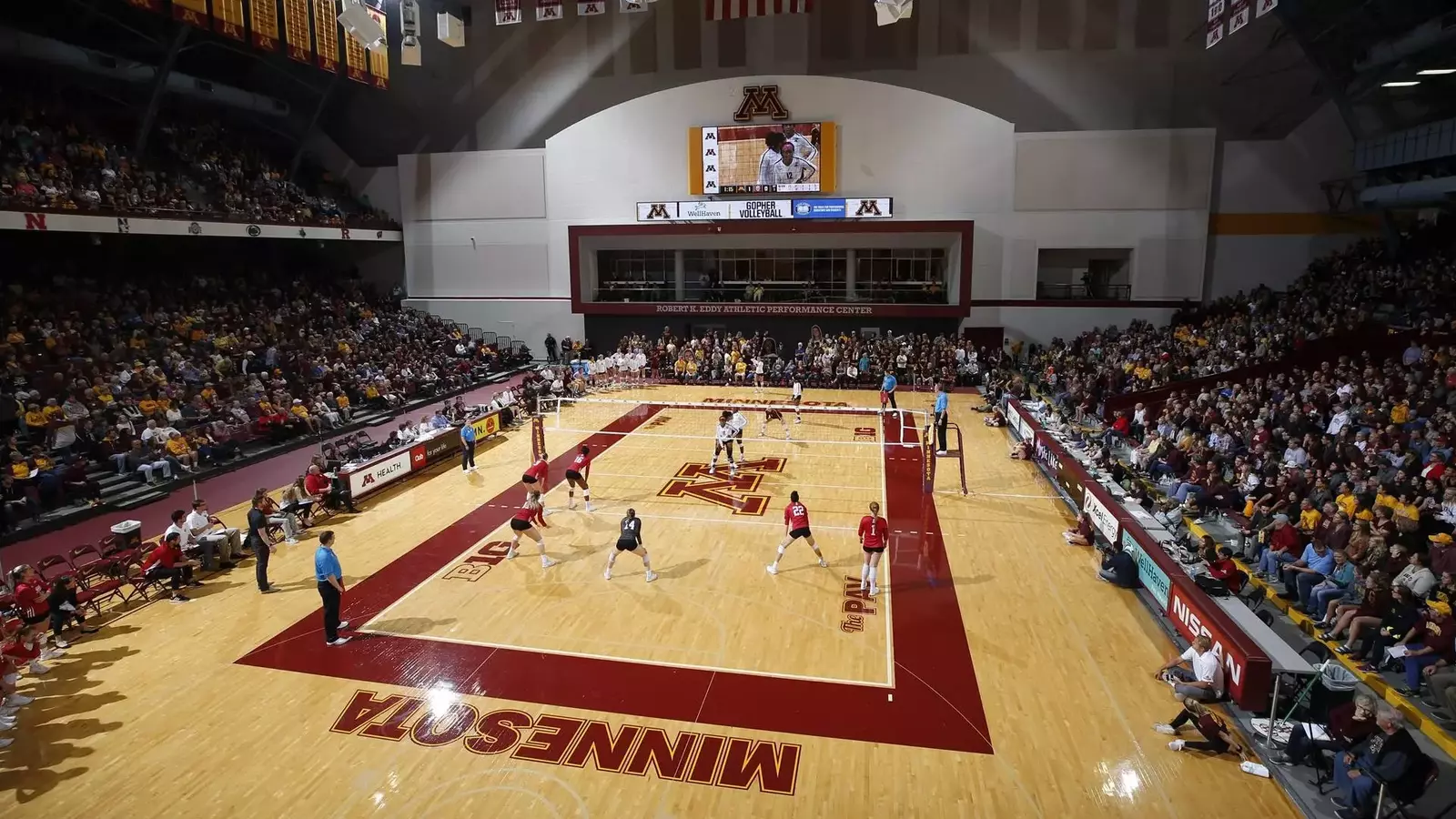 university-of-minnesota-athletics