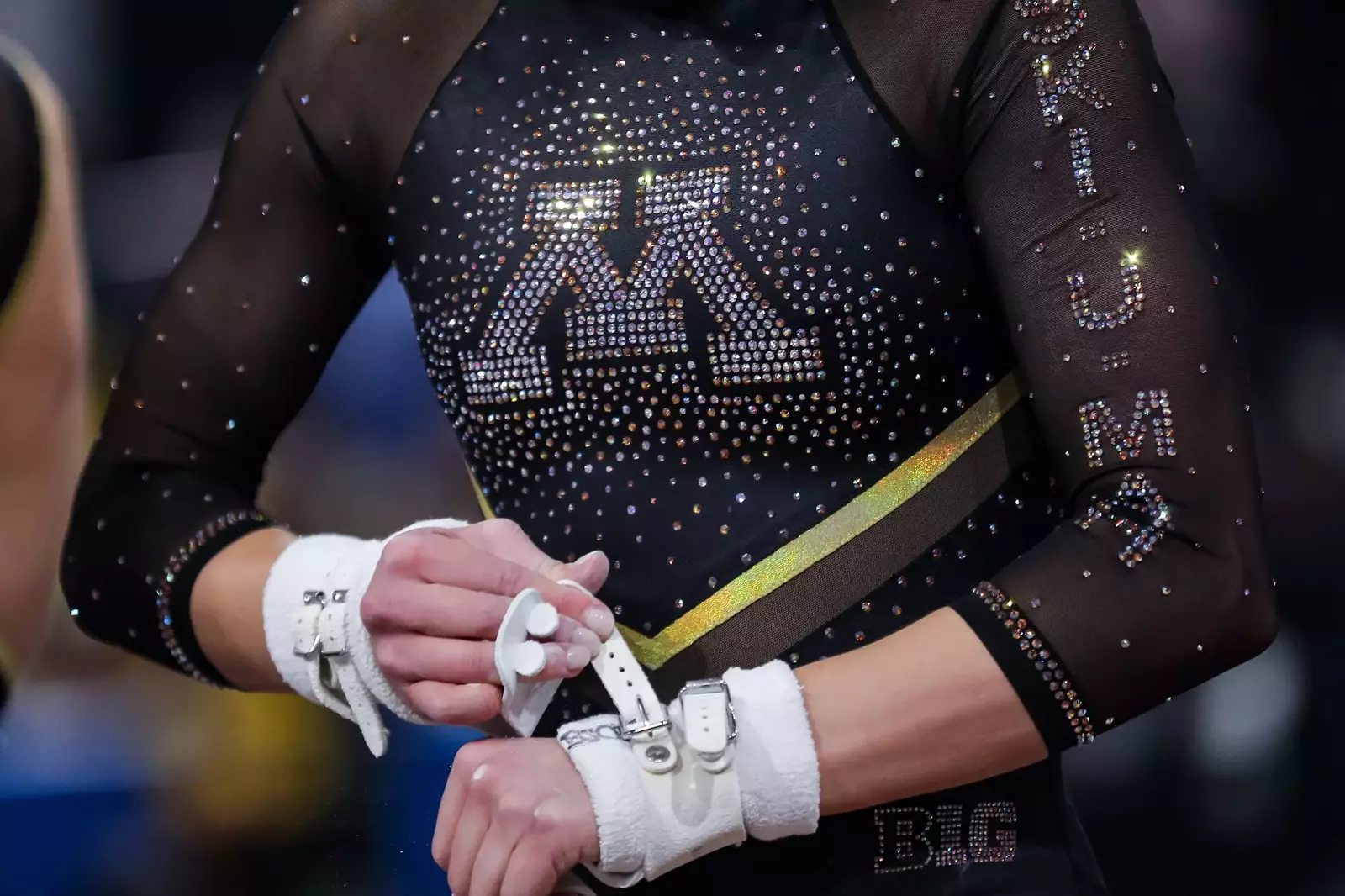 University of Minnesota Athletics