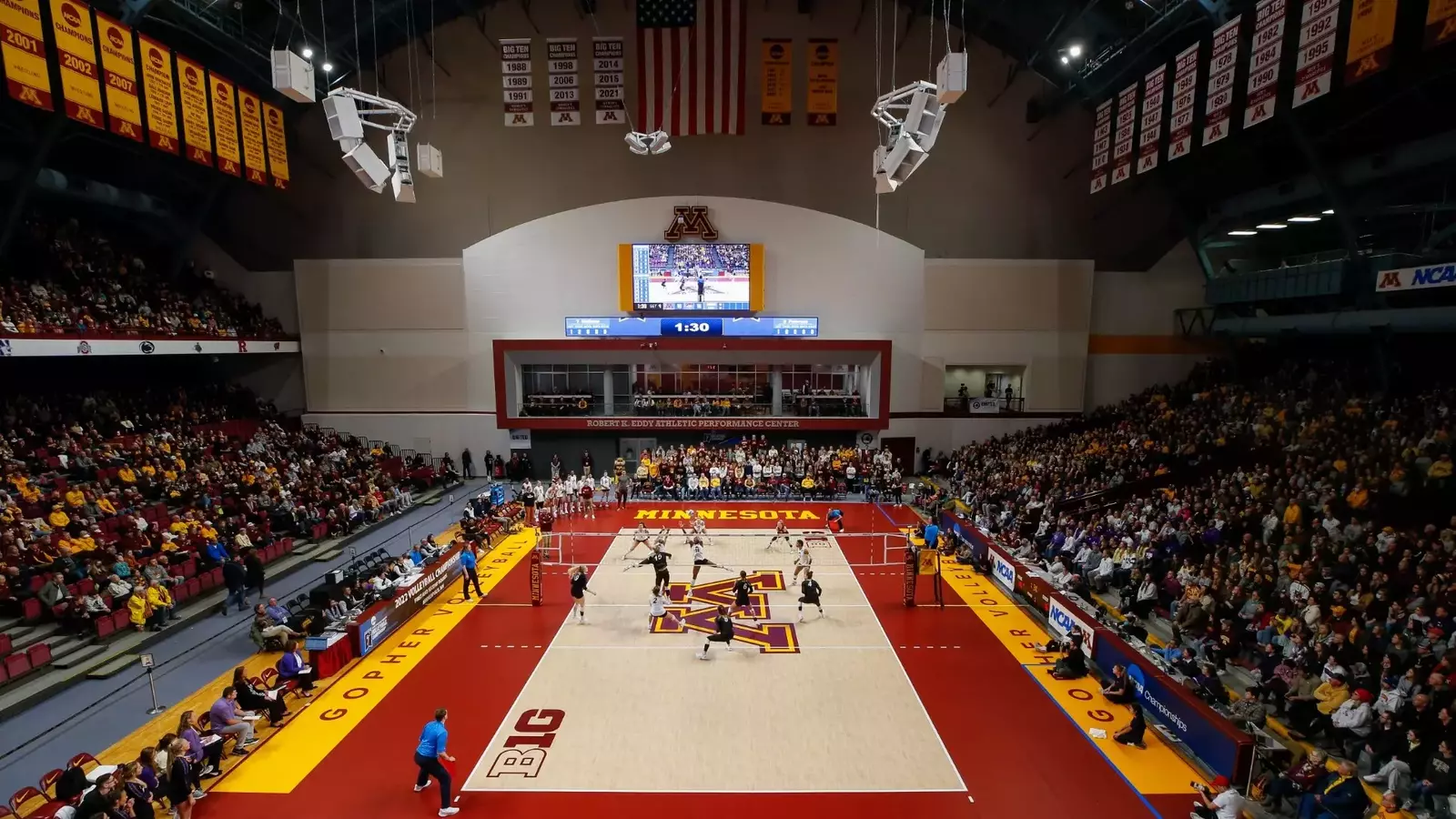 university-of-minnesota-athletics