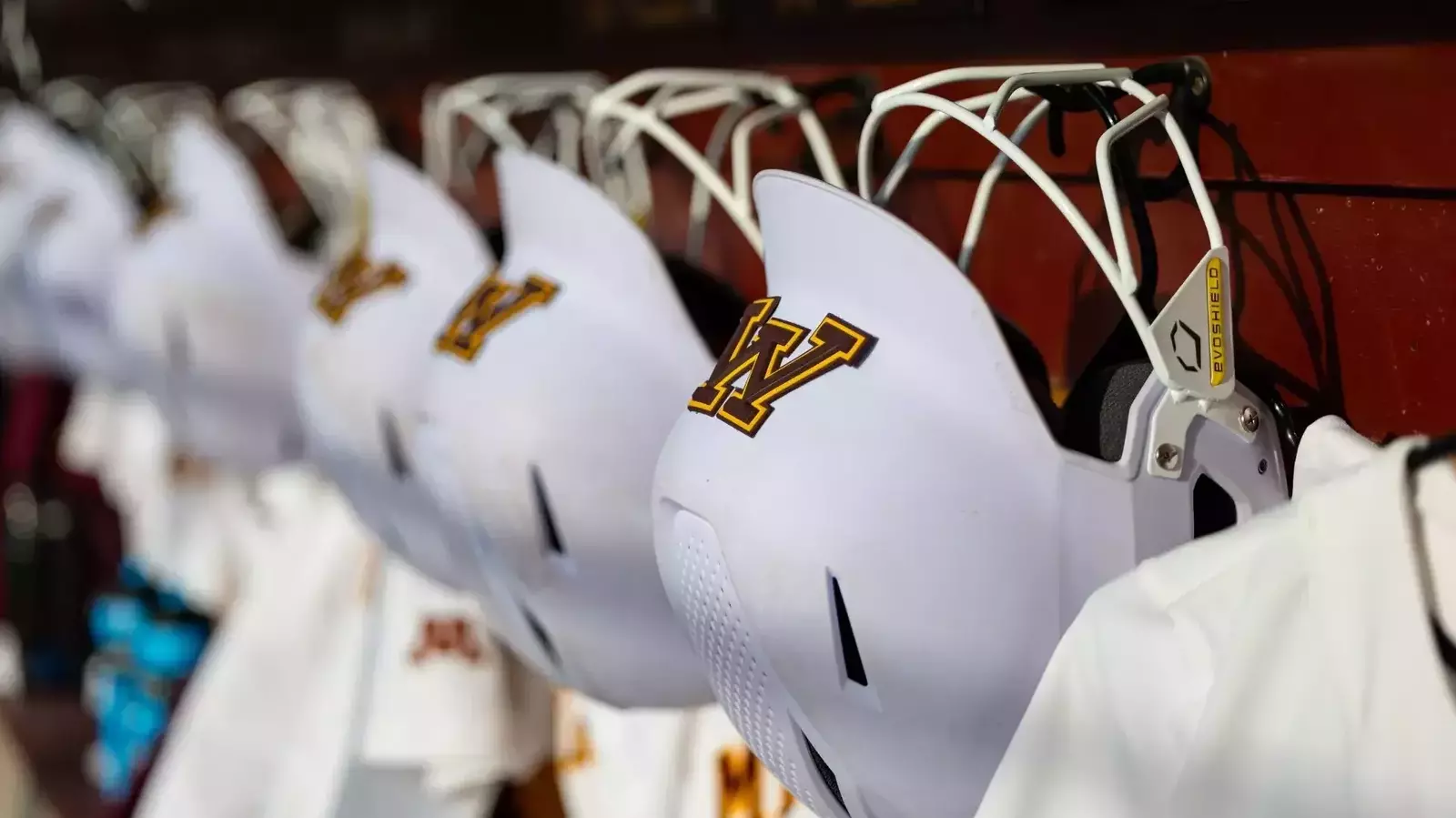 University of minnesota athletics