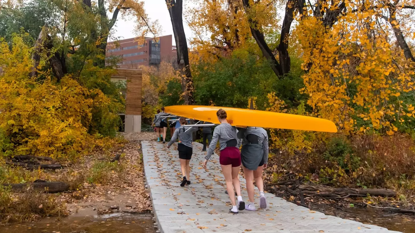 University of Minnesota Athletics