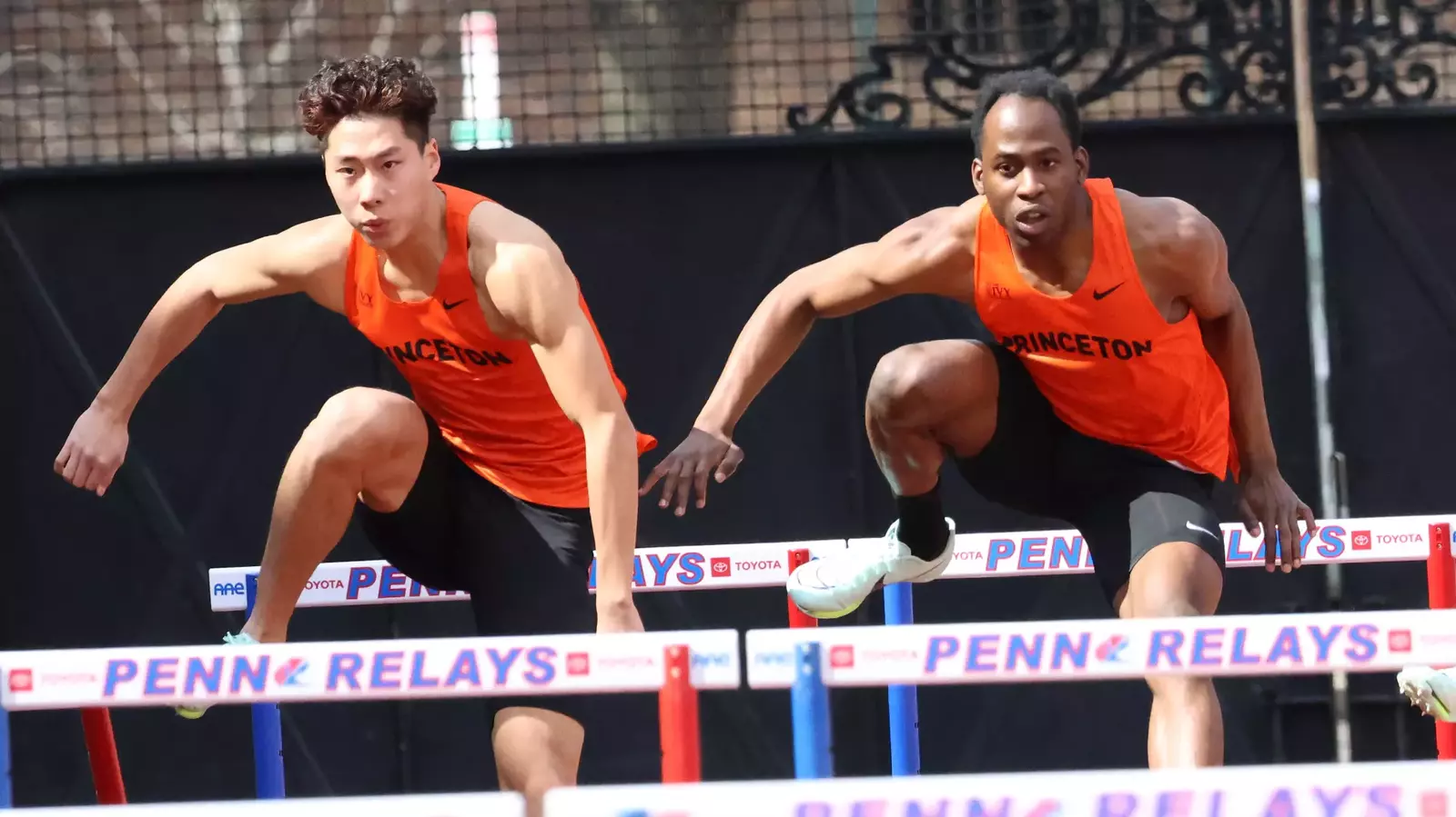 Princeton University