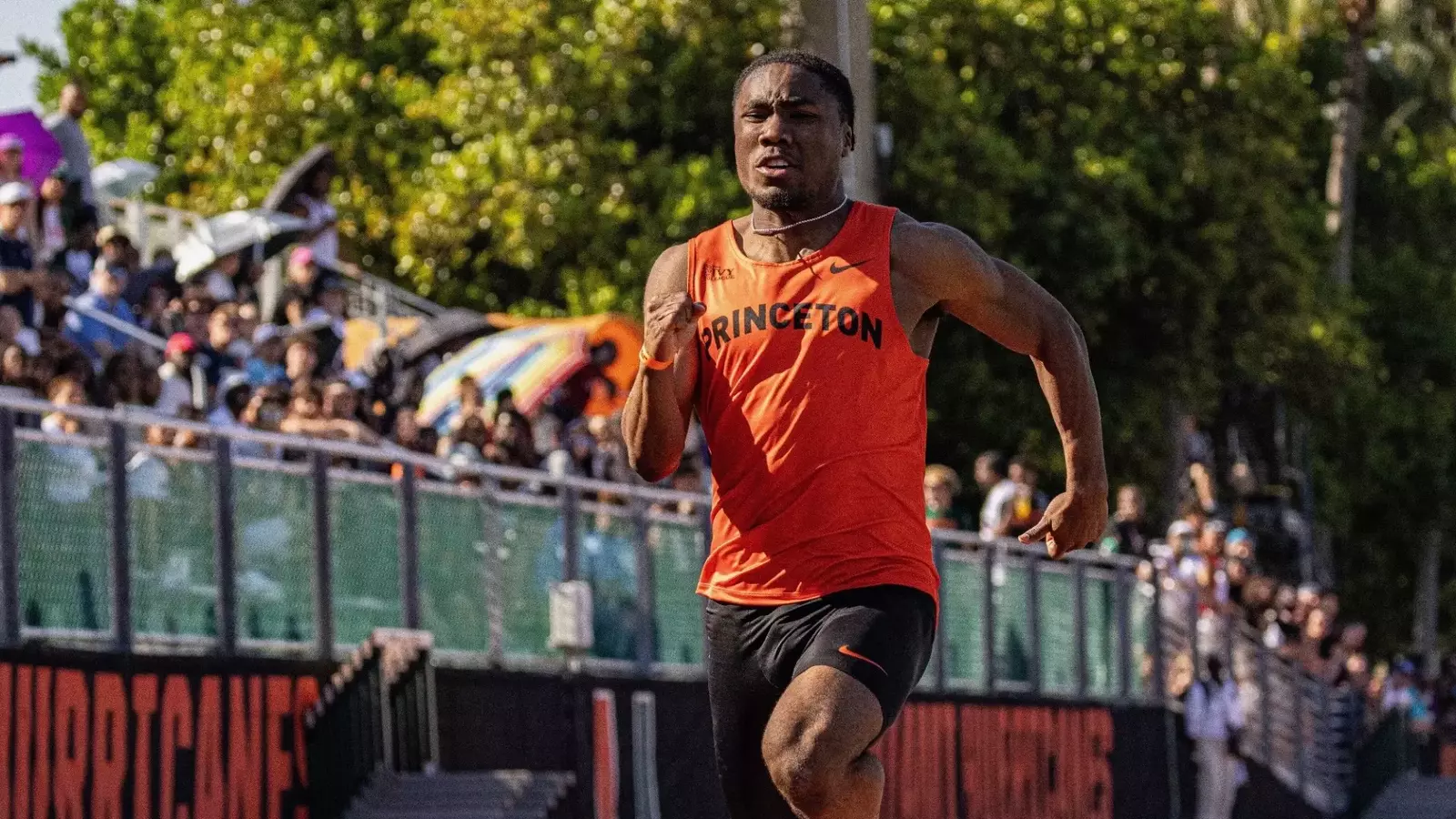 Princeton University