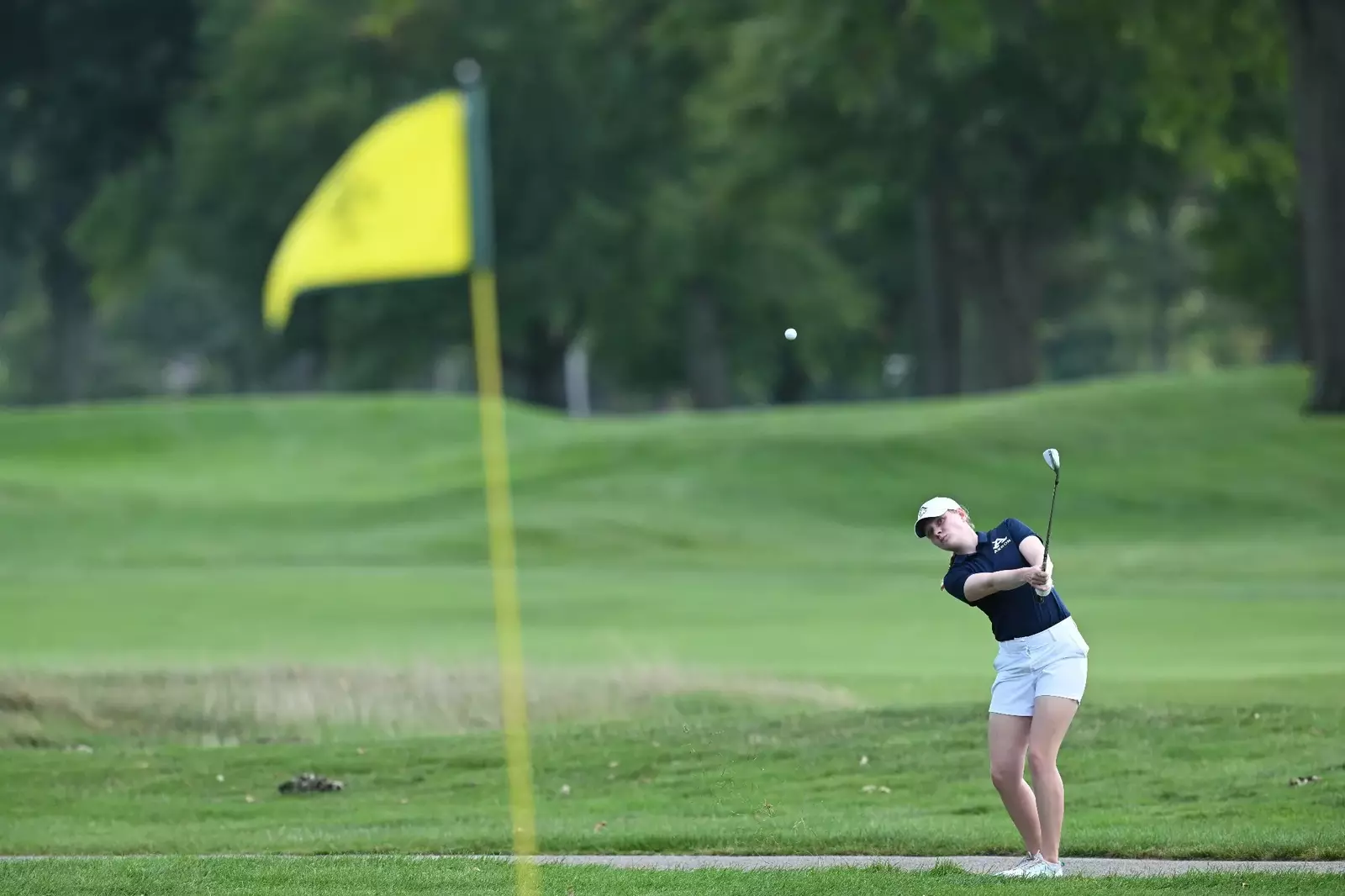 University of Akron Athletics