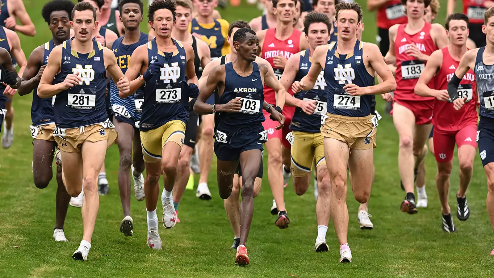University of Akron Athletics
