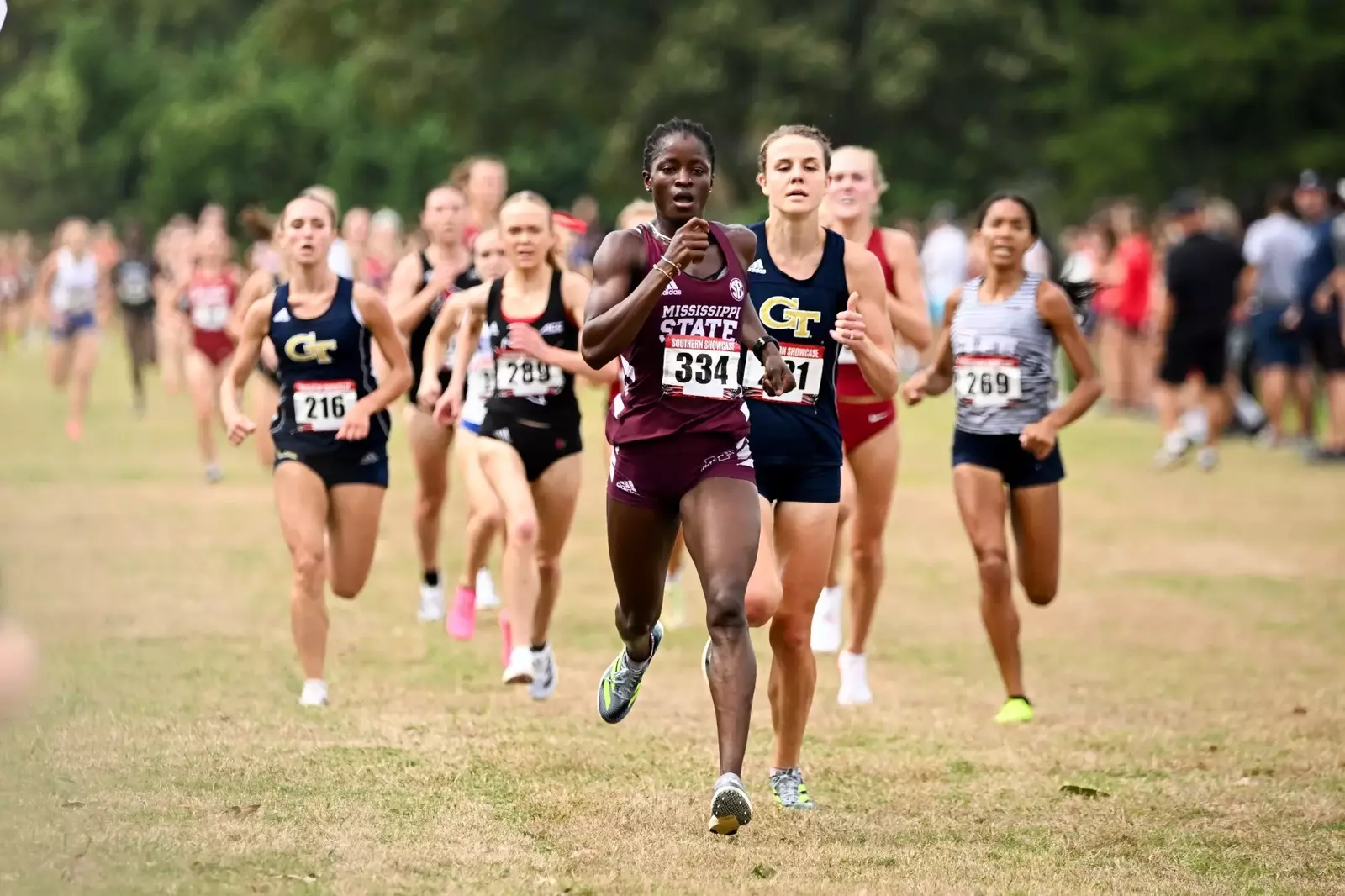 Cross Country Readies For Joe Piane Invitational BVM Sports