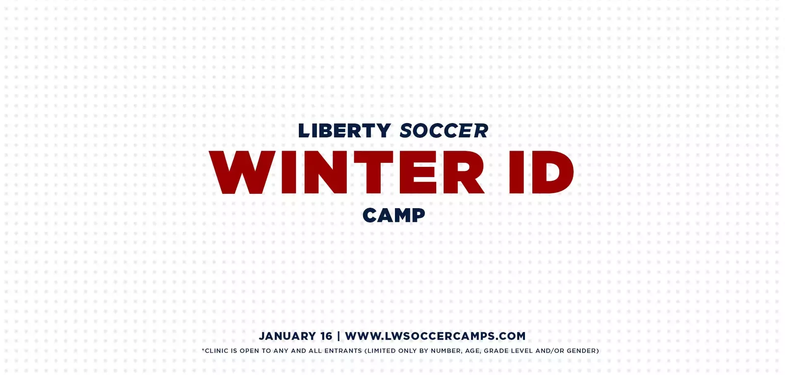 Liberty University Flames