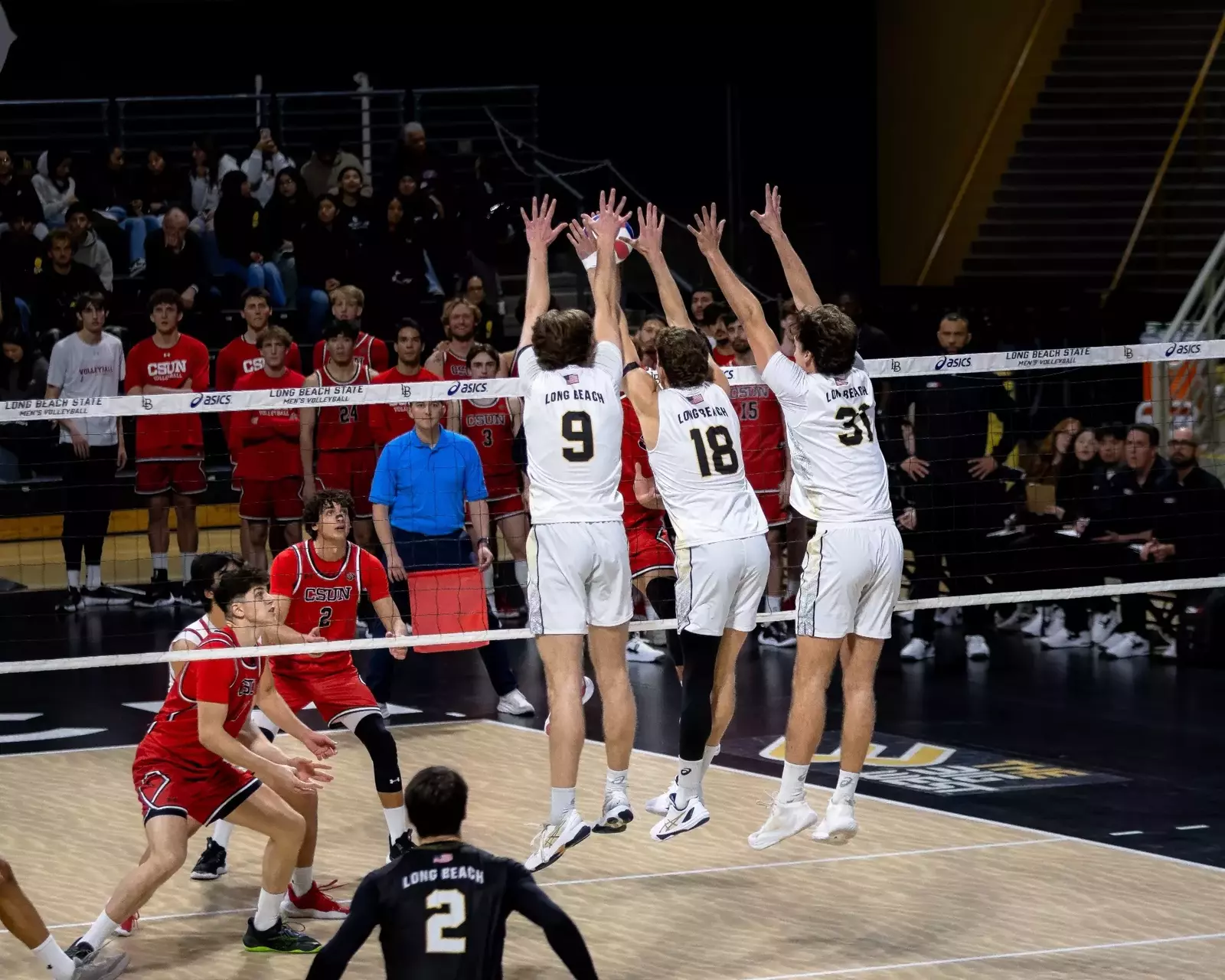 Long Beach State Men