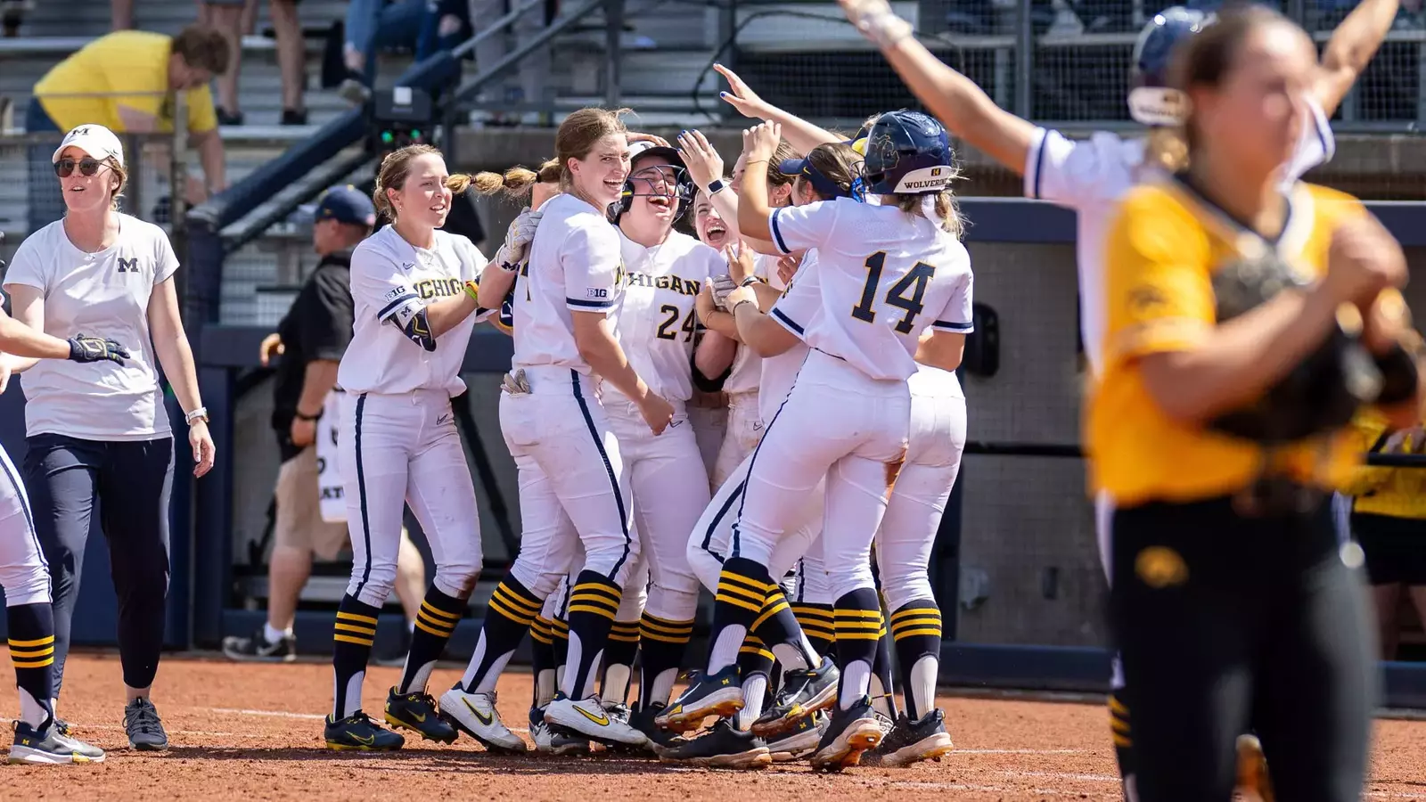 Wolverines Earn Second Straight WalkOff to Secure Series Sweep of Iowa