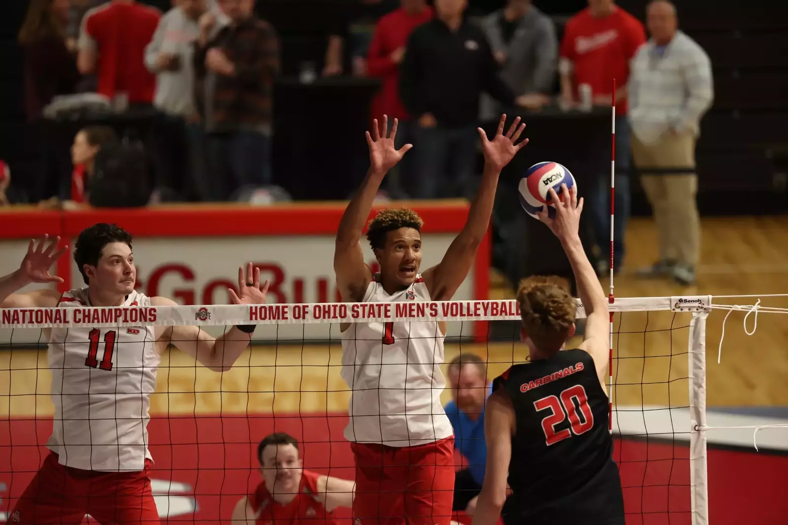 No. 9 Buckeyes Make Final MIVA Road Trip of 2024 - Ohio State