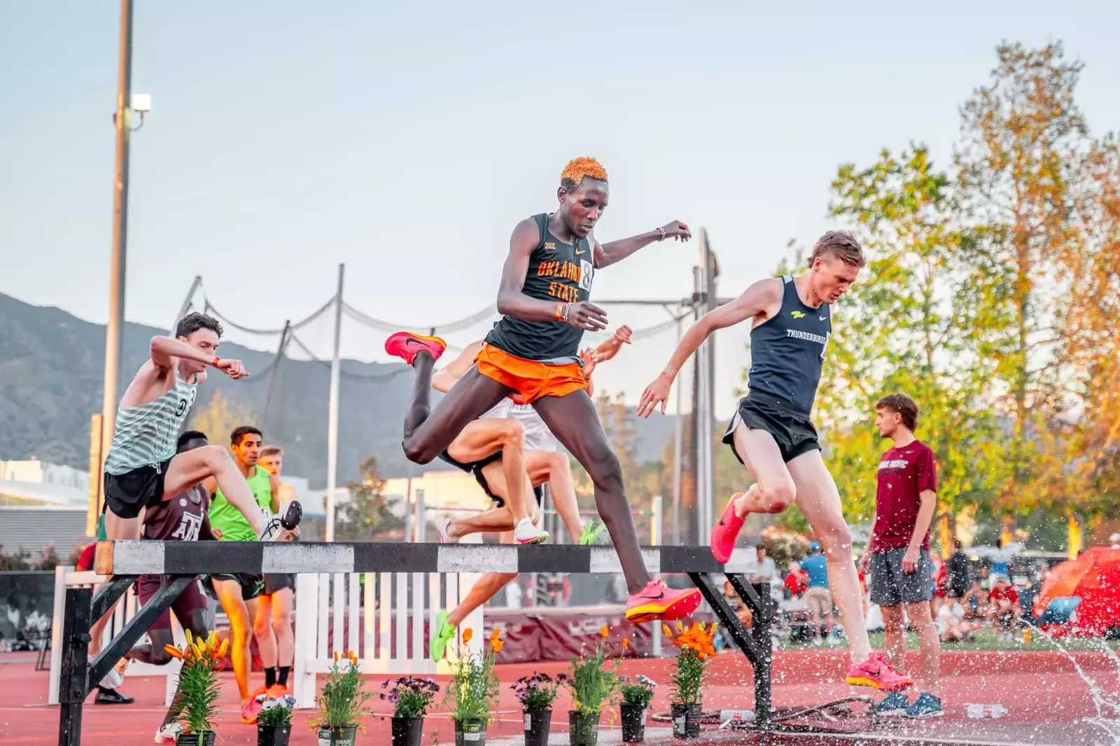 Multiple Cowboy and Cowgirl Distance Athletes Likely Earn Regional