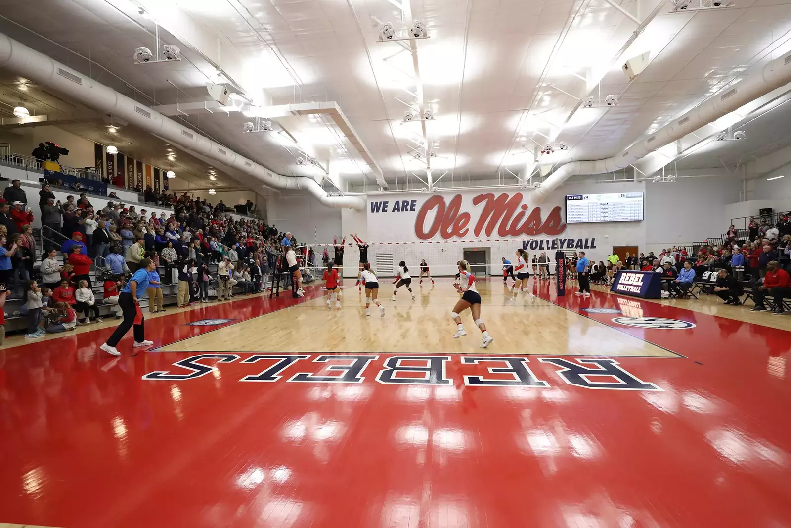 Meet The Minds Behind Ole Miss Volleyballs Success - pp1h5pp