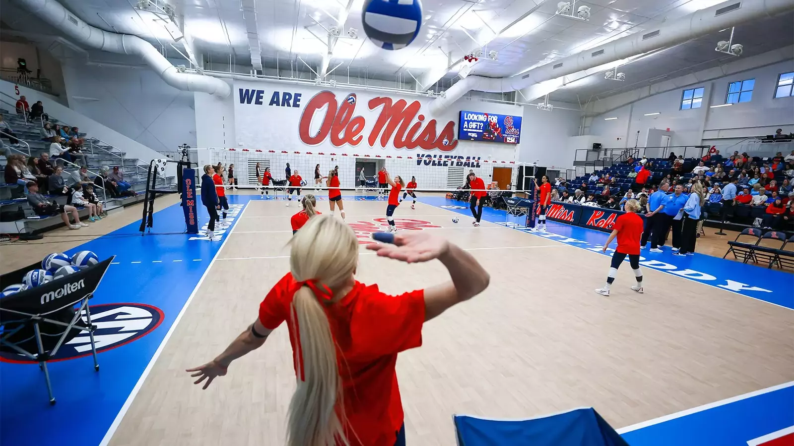 University of Mississippi Ole Miss Athletics