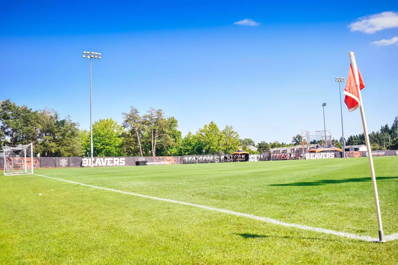 Oregon State University Athletics