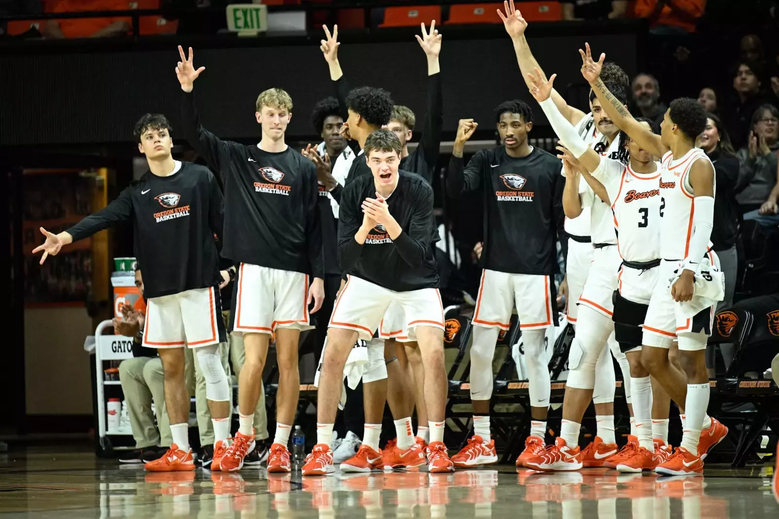 Oregon state men's basketball discount