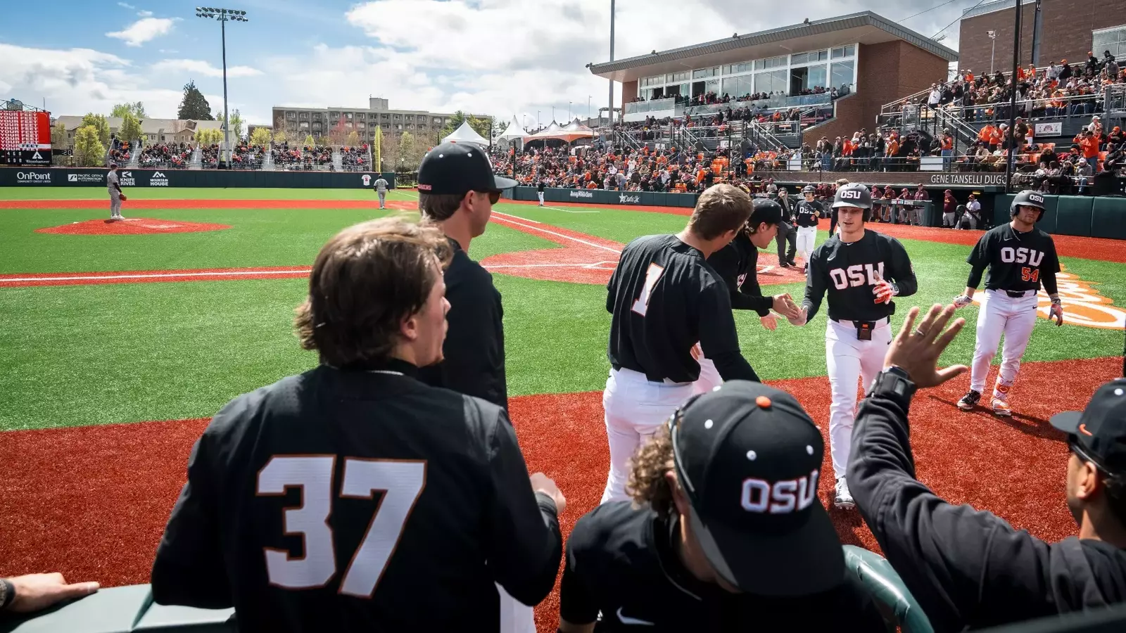 Oregon State University Athletics