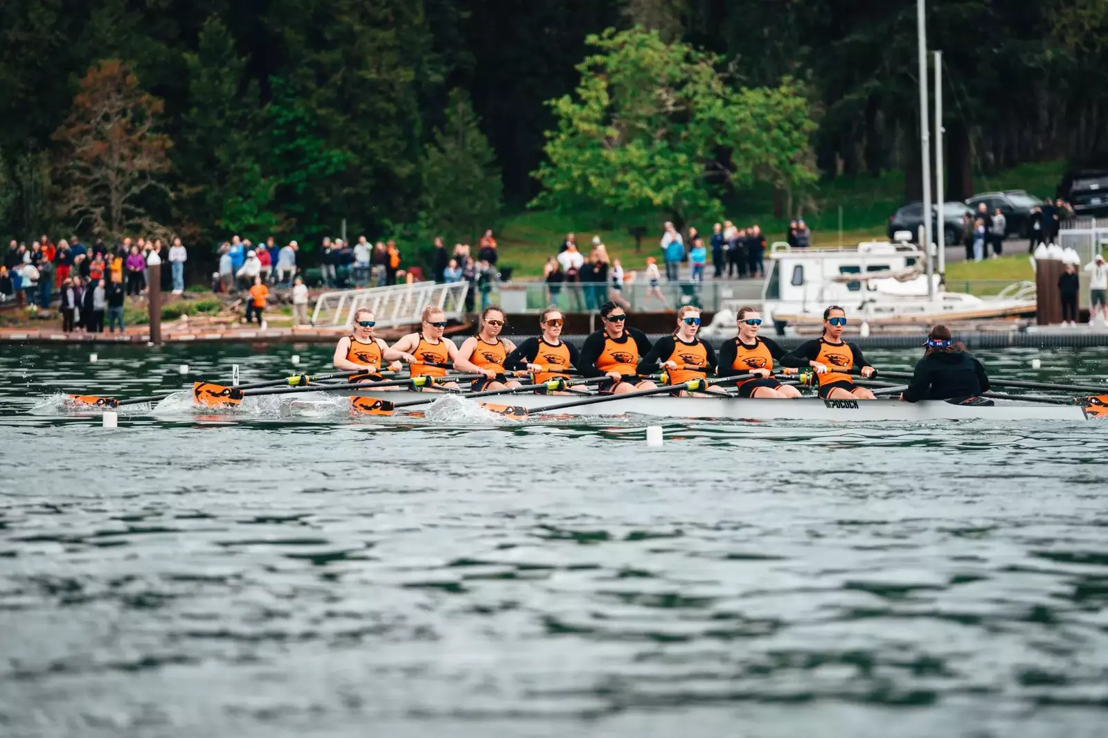 Oregon State University Athletics