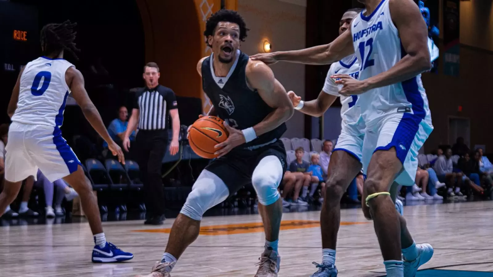 Reggie Rice Basketball Rice University