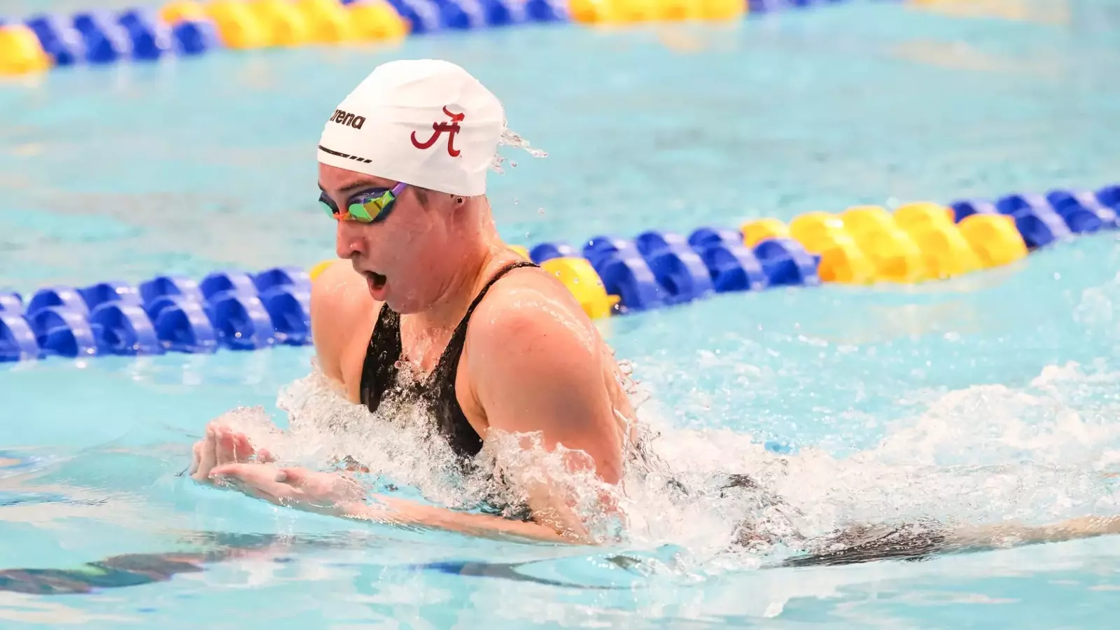 Alabama Concludes World Aquatic Championships Alabama Athletics