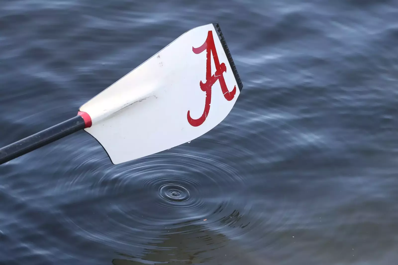 Alabama Rowing Opens Spring Season with Dual Race Against Eastern ...