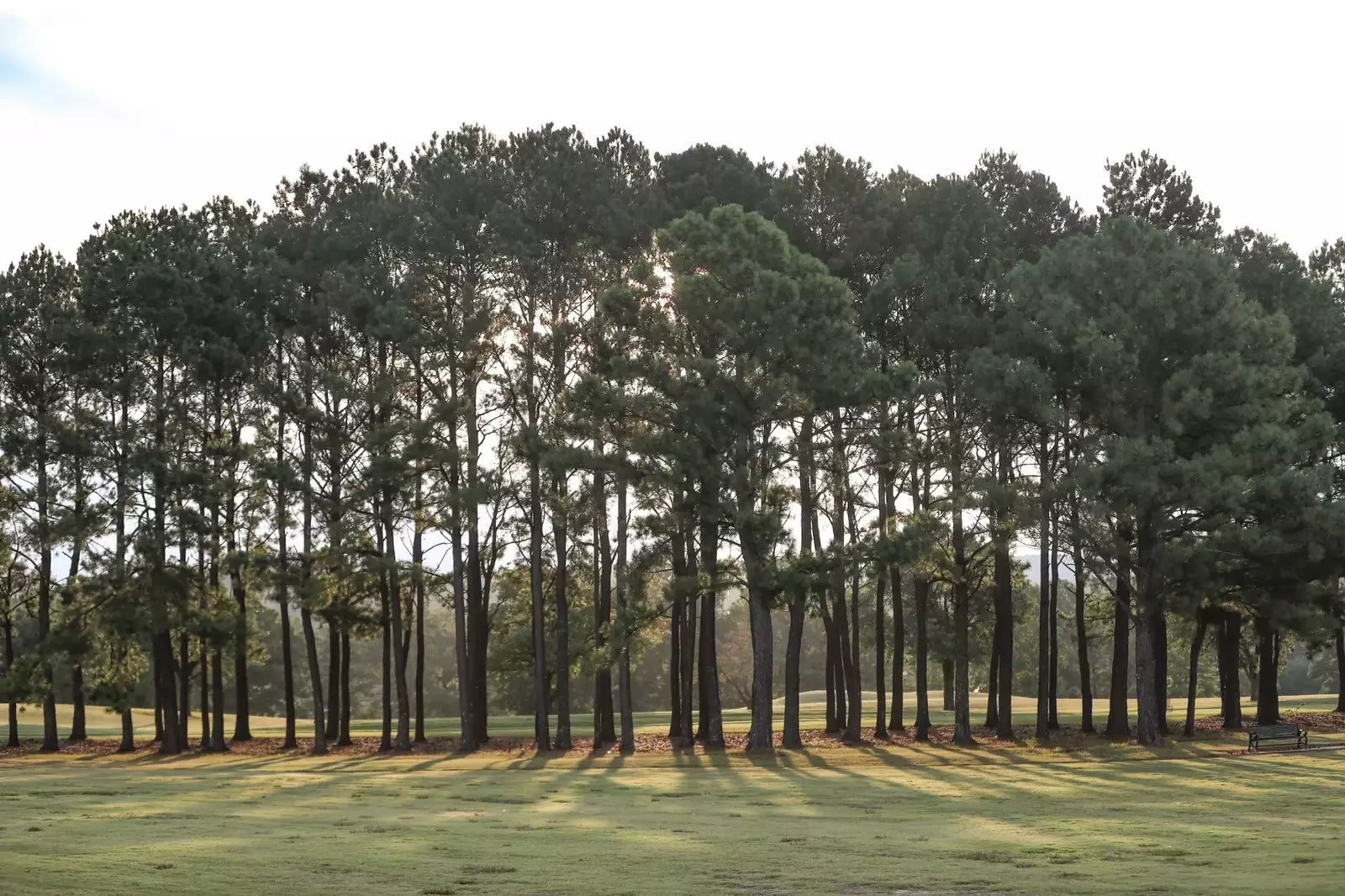 New Cross Country Season Begins at Southern Showcase Alabama Athletics