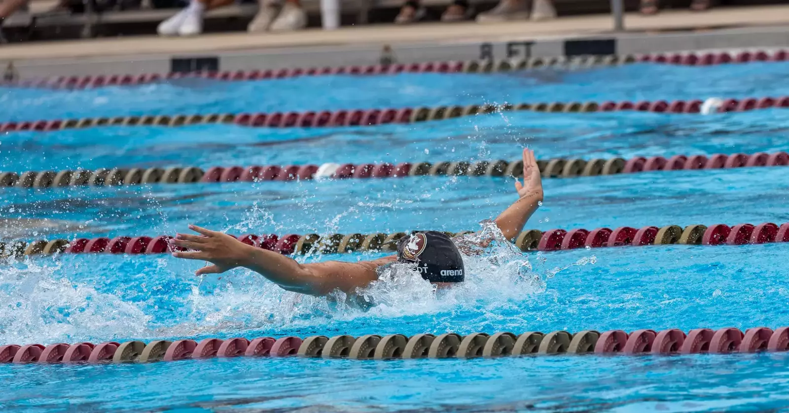 Florida State University Athletics