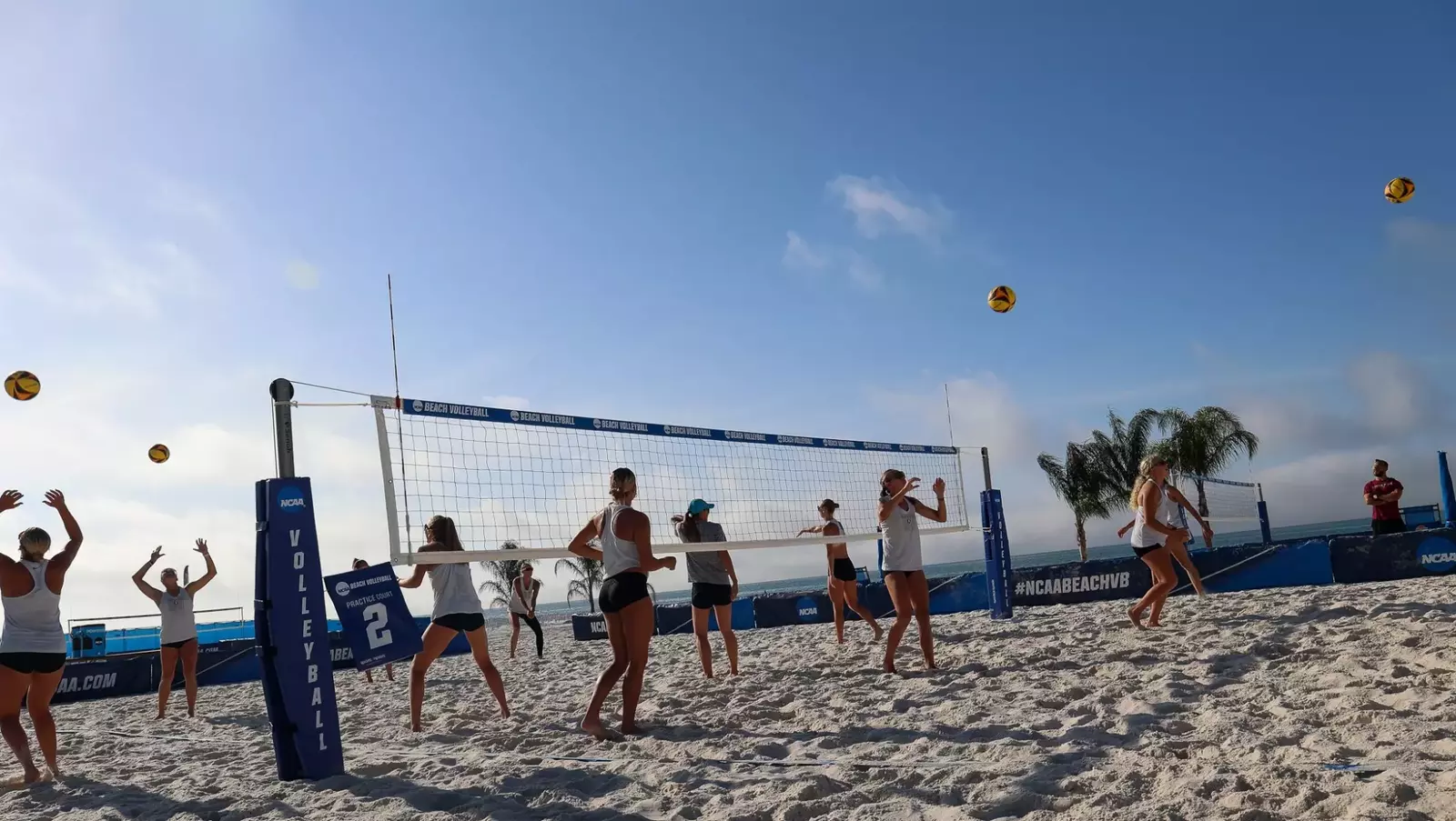 Florida State University Athletics