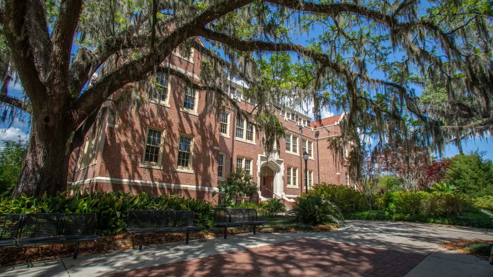 Seminole Student-Athletes Honored On 2024 ACC Academic Honor Roll - Florida  State University