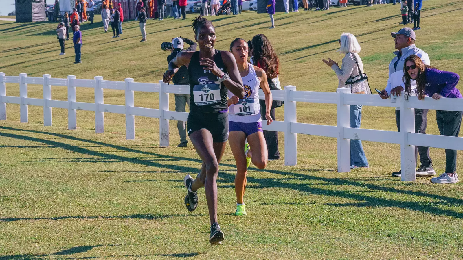 Stephen F Austin University