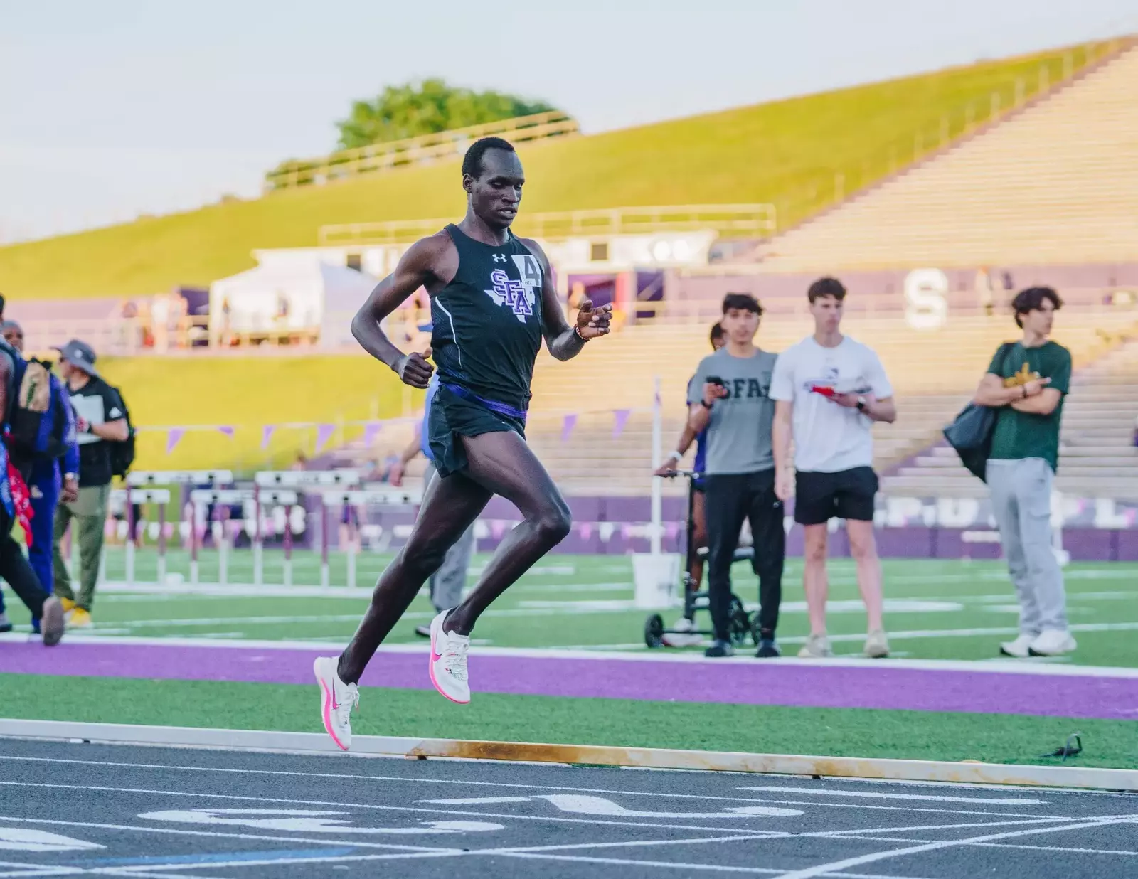 Stephen F Austin University