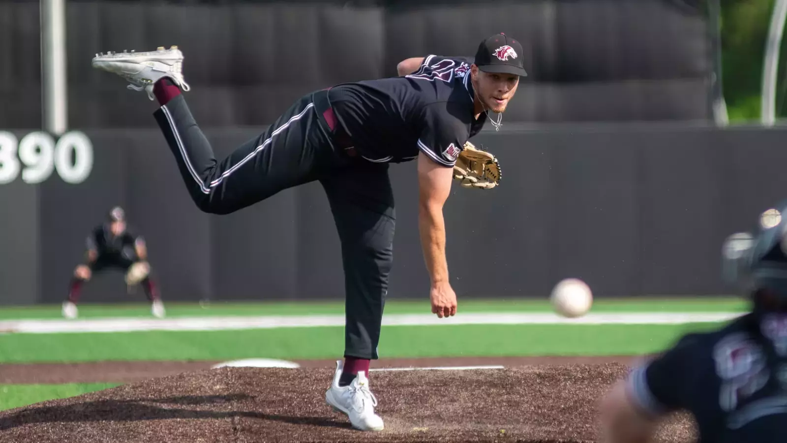 Southern Illinois Salukis Official Athletics Website