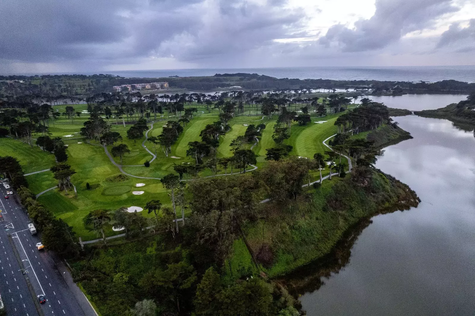 Tpc harding park live stream sale