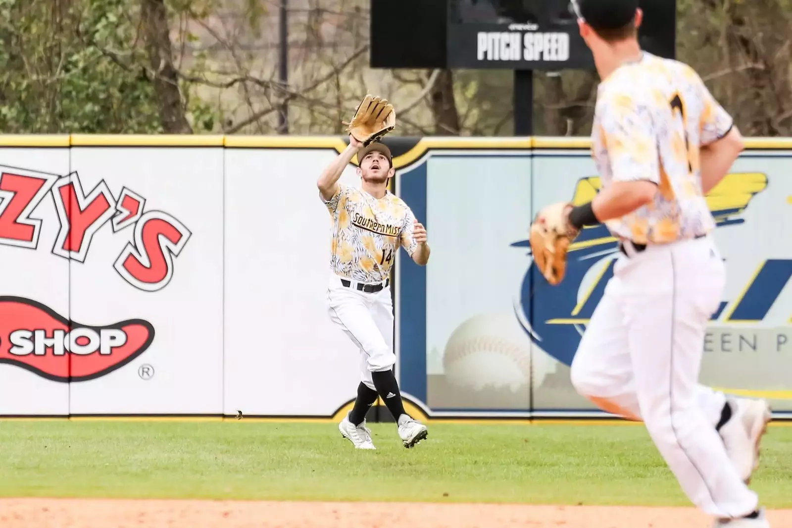 University of Southern Mississippi