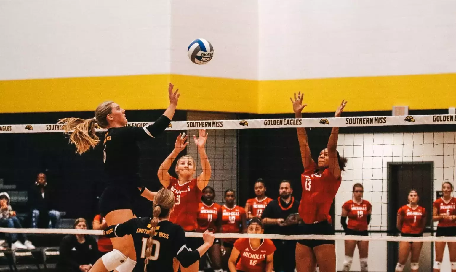 University of Southern Mississippi