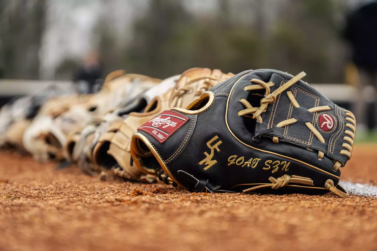 Softball Inks Eleven on National Signing Day BVM Sports